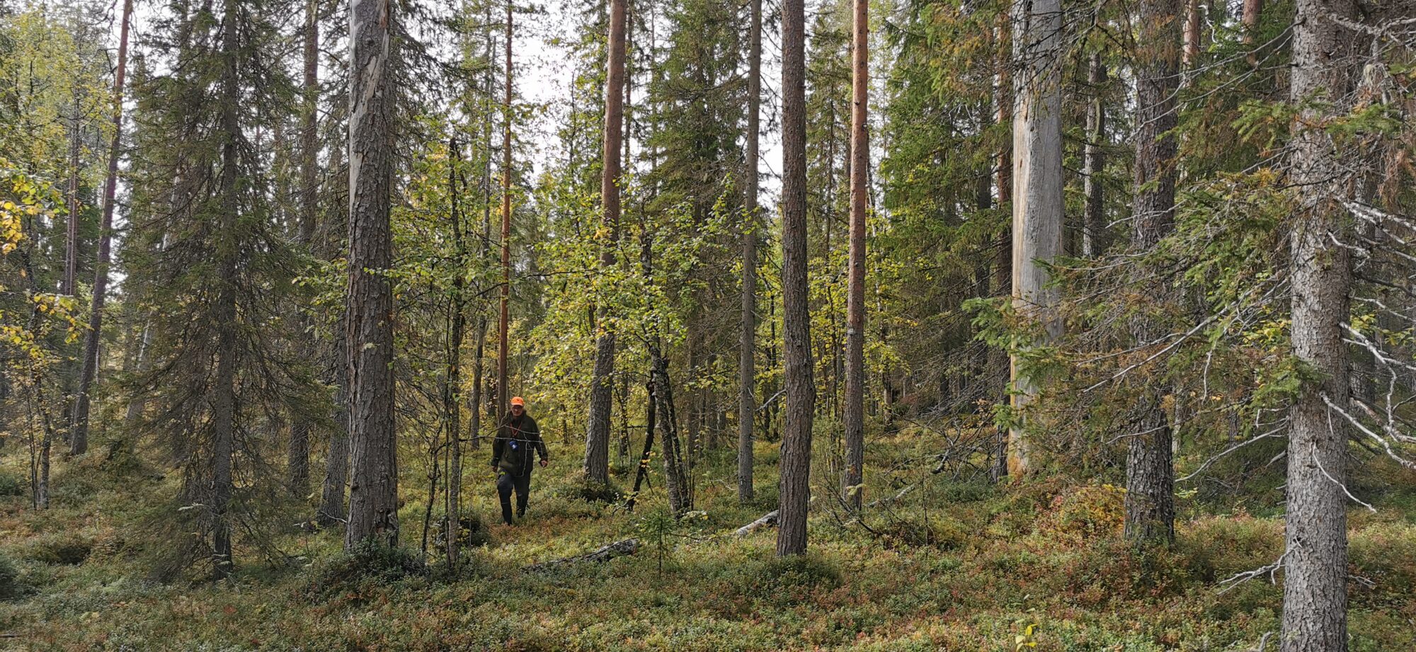 Risto Sulkava Suomussalmen Ruottusenvaaralla